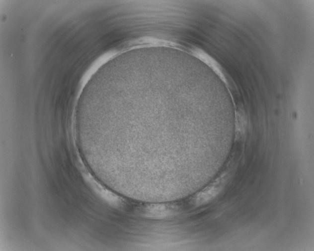 X0000079311098200612151746