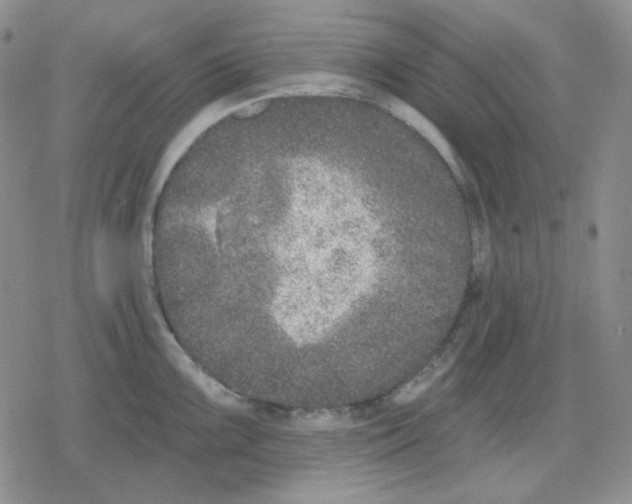 X0000079311099200612151746