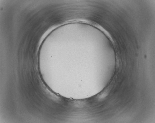 X0000079311102200612151746