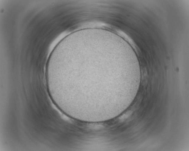 X0000079311103200612151746