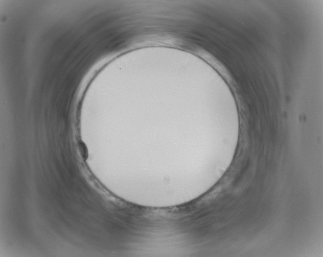 X0000079311104200612151746