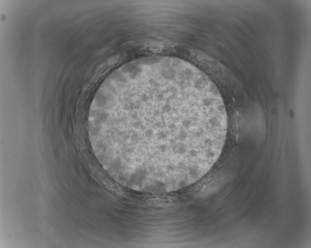 X0000079311105200612151745