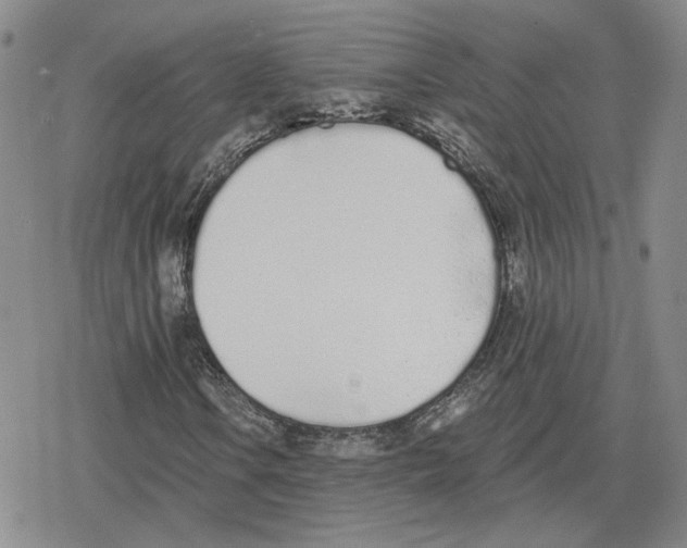 X0000079311106200612151745