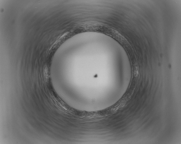 X0000079311108200612151745