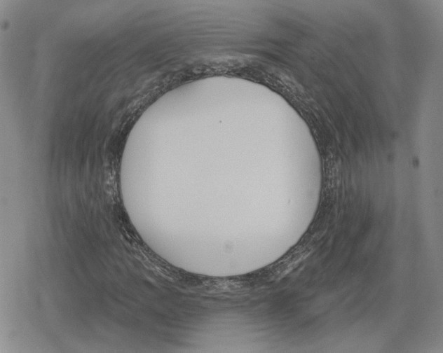 X0000079311109200612151745