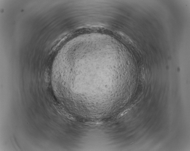 X0000079311110200612151745