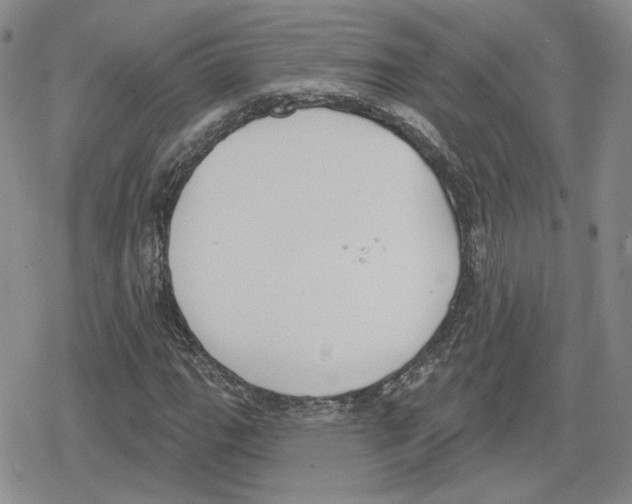 X0000079311111200612151745