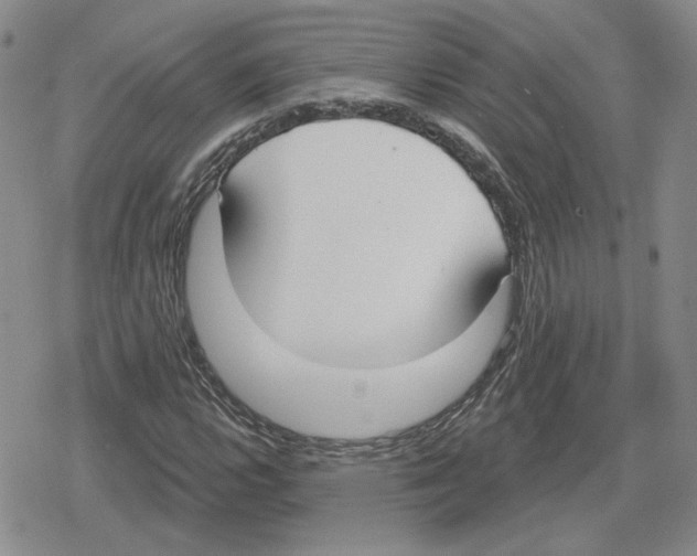 X0000079311112200612151745