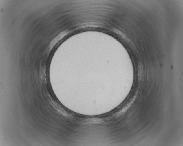 X0000079311113200612151745