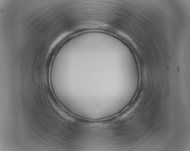 X0000079311114200612151745