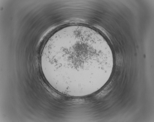 X0000079311115200612151745