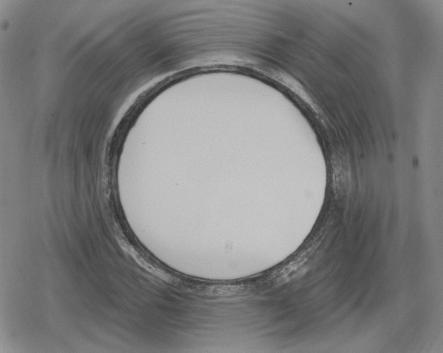 X0000079311116200612151745