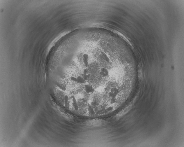 X0000079311117200612151745