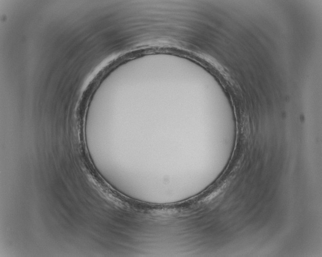 X0000079311118200612151745