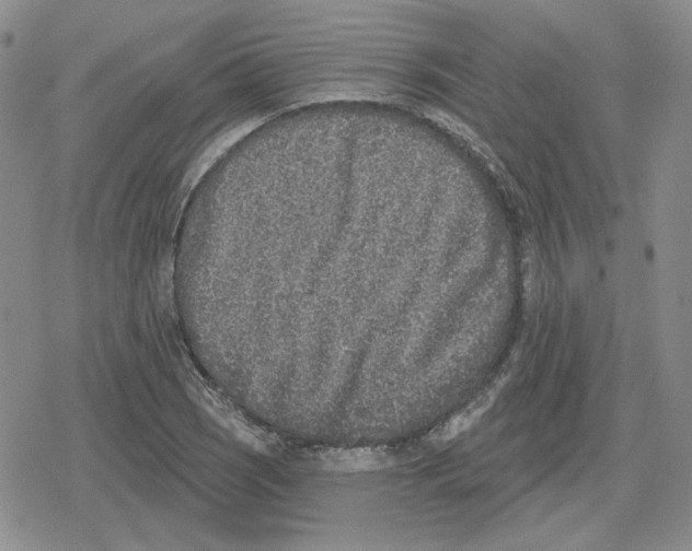 X0000079311121200612151745