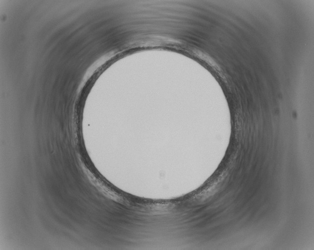 X0000079311122200612151745