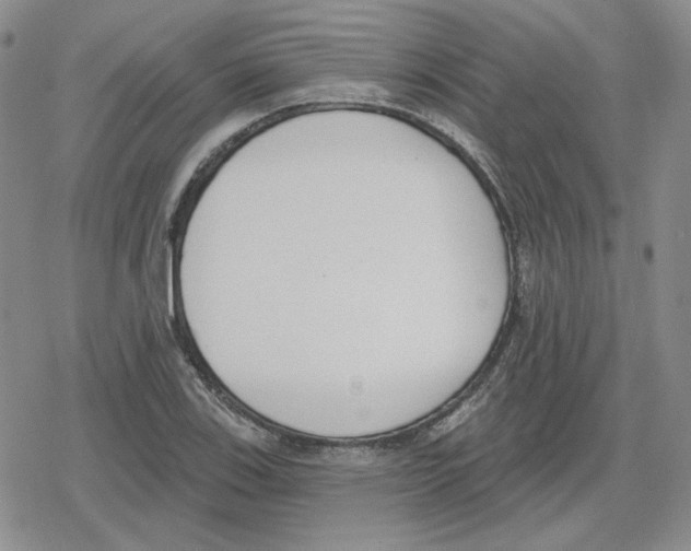 X0000079311123200612151745