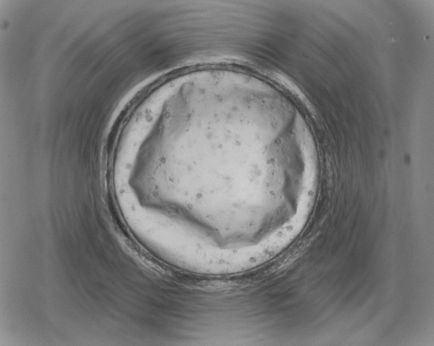 X0000079311124200612151745