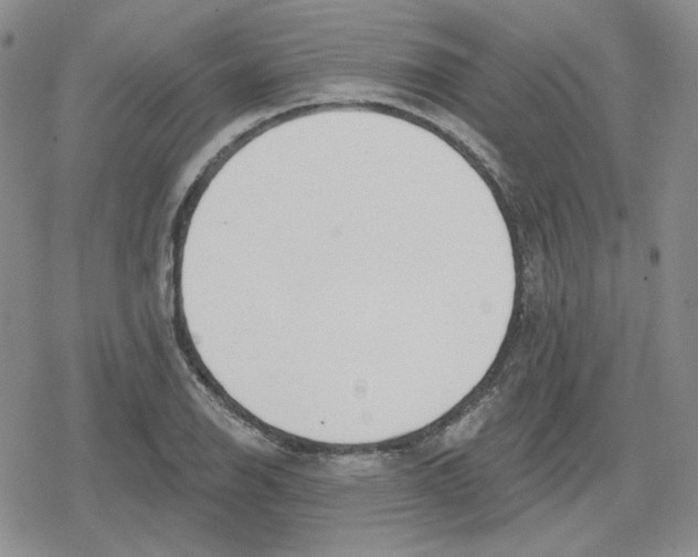 X0000079311126200612151745