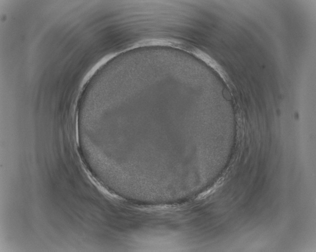 X0000079311127200612151745