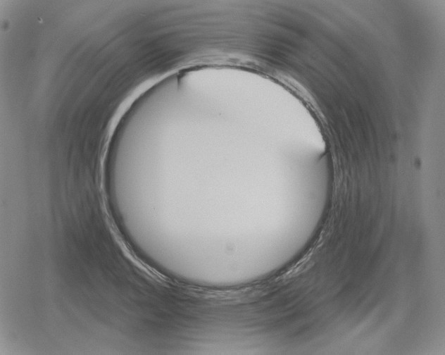 X0000079311128200612151745