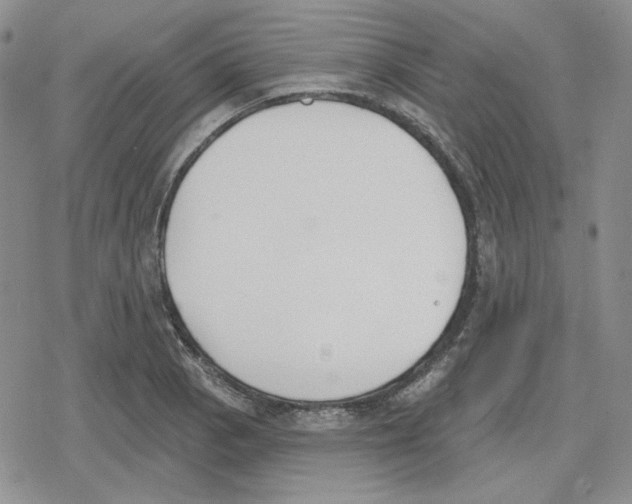 X0000079311129200612151745