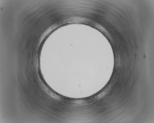 X0000079311130200612151745