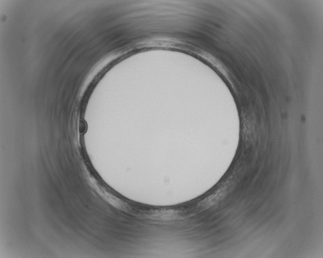 X0000079311131200612151745