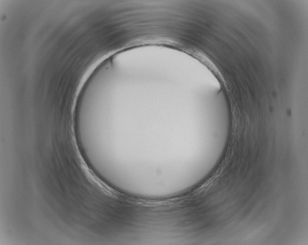 X0000079311132200612151745