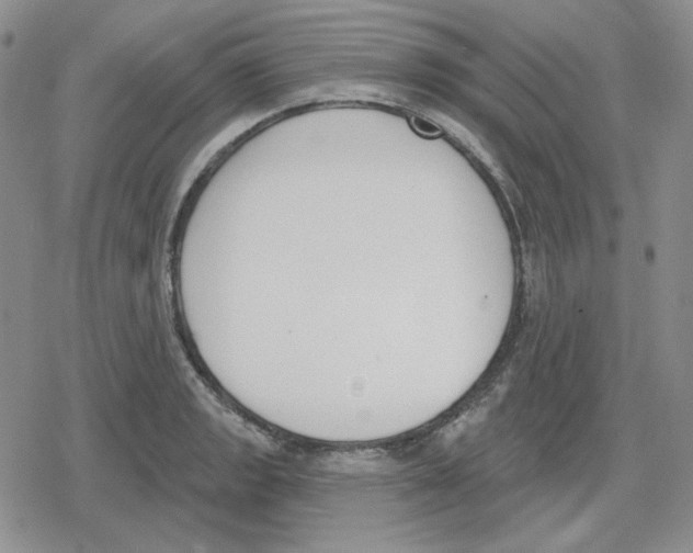 X0000079311133200612151745