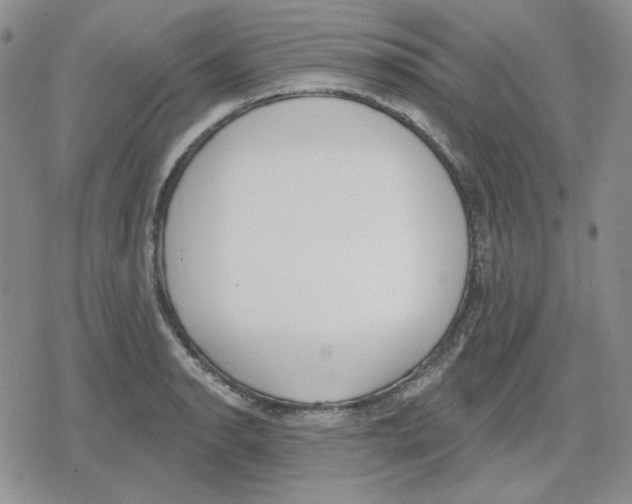 X0000079311134200612151745