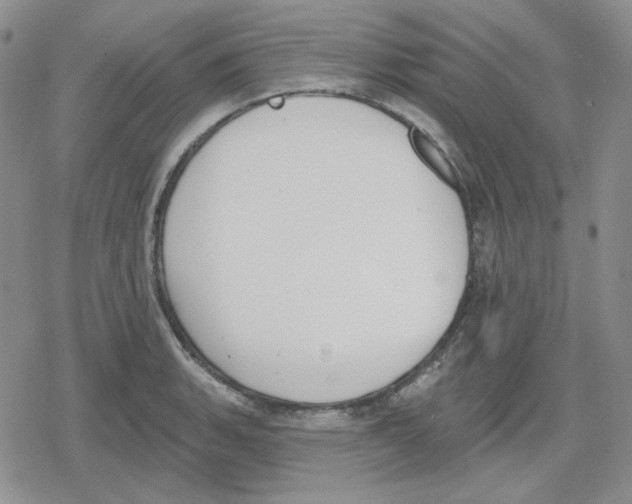 X0000079311135200612151745