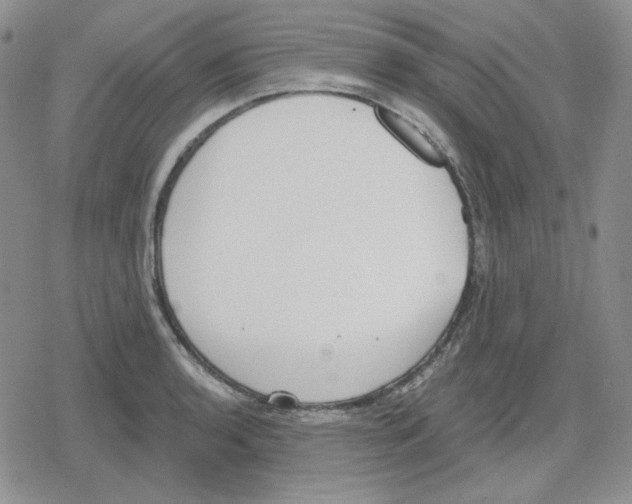 X0000079311136200612151745