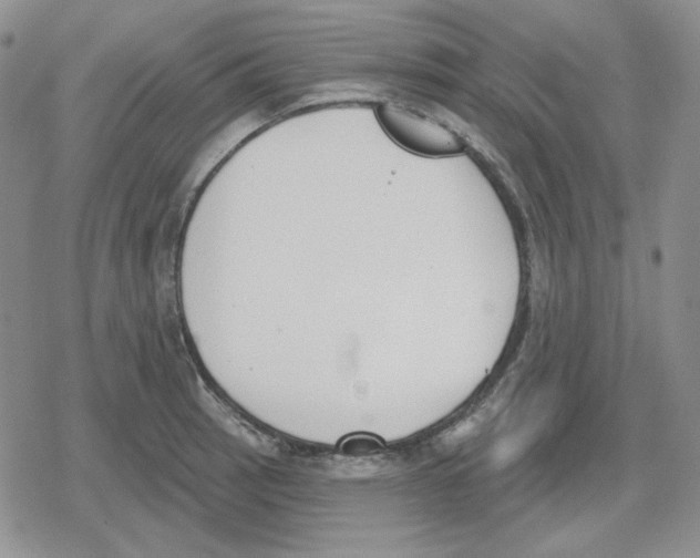 X0000079311137200612151745