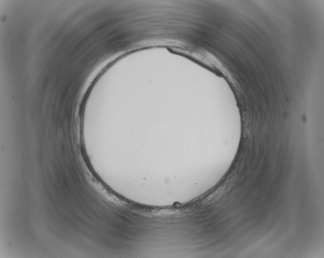 X0000079311140200612151745