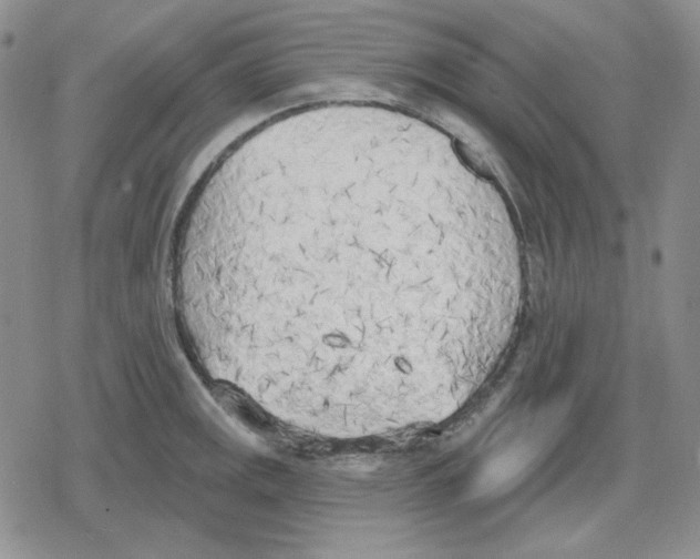 X0000079311141200612151746