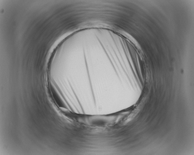 X0000079311144200612151746