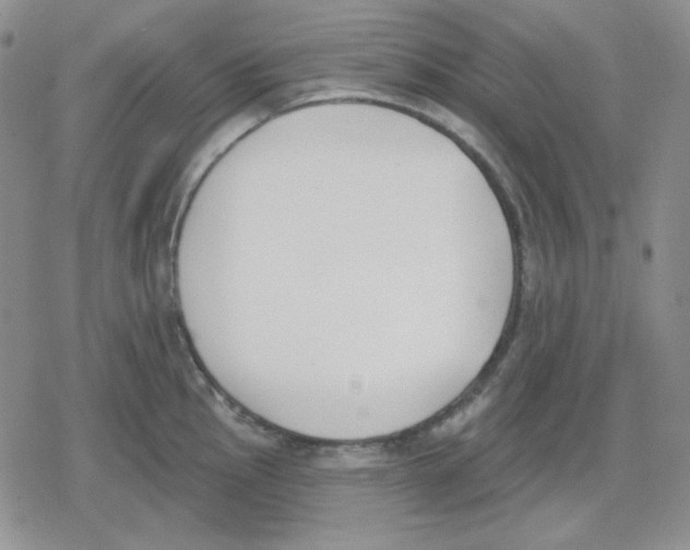 X0000079311145200612151746