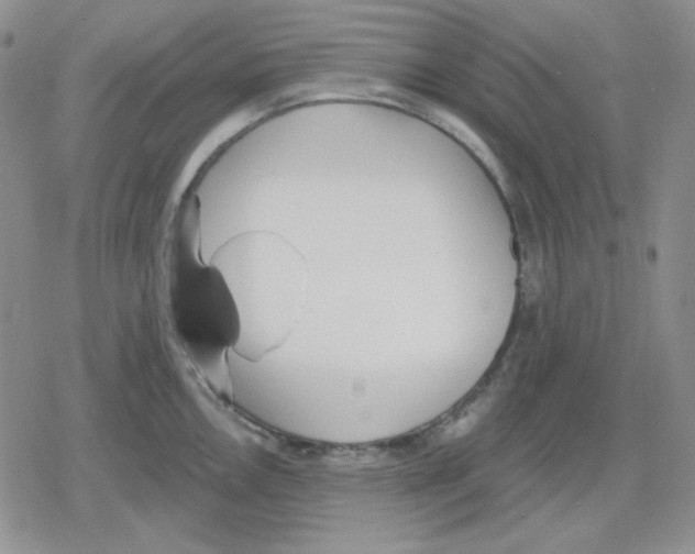 X0000079311146200612151746