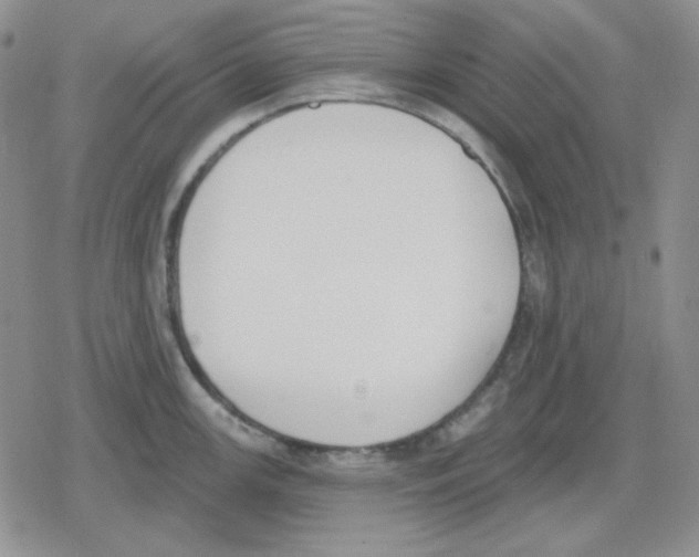 X0000079311147200612151746