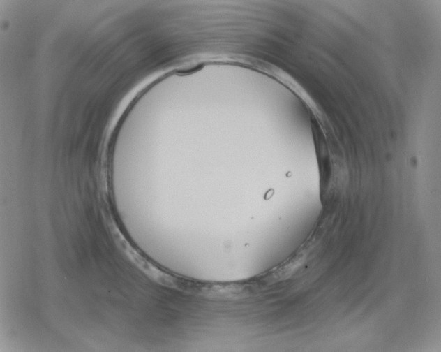 X0000079311148200612151746