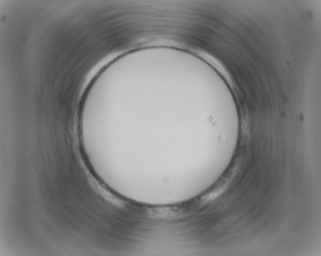 X0000079311149200612151746