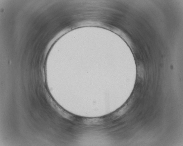 X0000079311150200612151746