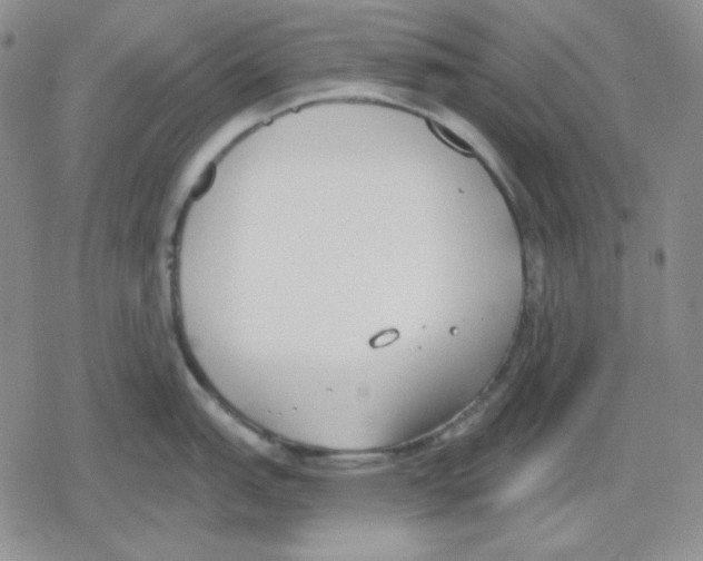 X0000079311151200612151746