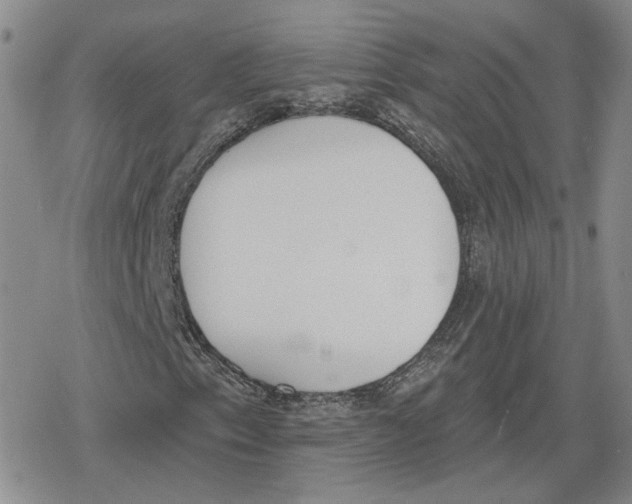 X0000079311153200612151745