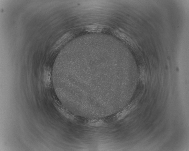 X0000079311154200612151745