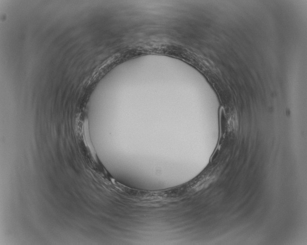 X0000079311156200612151745