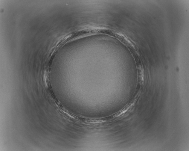 X0000079311157200612151745