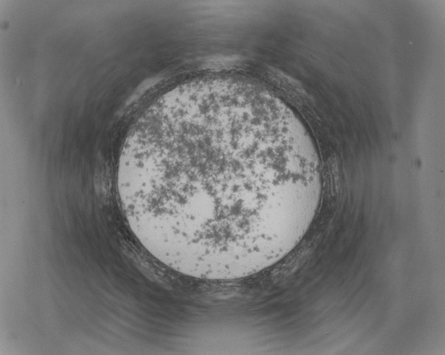 X0000079311158200612151745