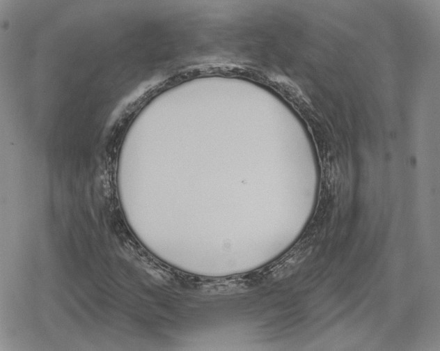 X0000079311159200612151745